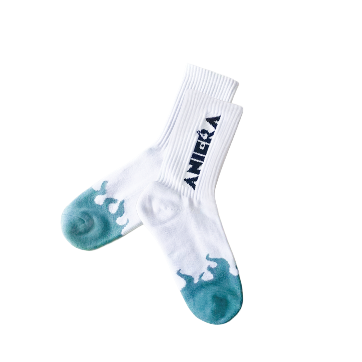 ANIERA-X